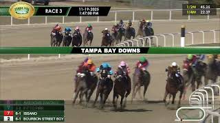 November 19, 2025  Race 3