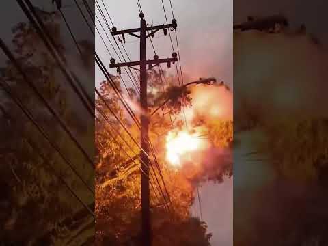 Lightning strikes down trees#weather #lightning #trees #extremeweather #oddlysatisfying