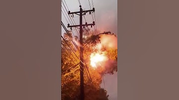 Lightning strikes down trees#weather #lightning #trees #extremeweather #oddlysatisfying