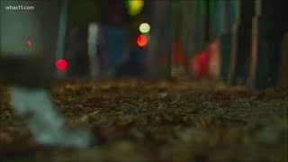 City, partners work to clean up Bardstown Road