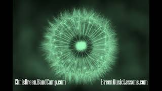 Chris Breen - False Perception