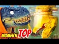 TOP MOMENTI piÃ¹ EPICI di SEMPRE ðŸ’¥ðŸ¦– [Parte 1]
