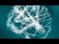 Talk: Stolen body parts, entrapment, paralysis – unseen battles in the ocean world