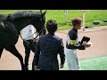 アスクセクシーモア（福永祐一厩舎）×岩田康誠騎手、府中S勝利後の口取り風景。　#競馬　#東京競馬場　#福永祐一　#岩田康誠 