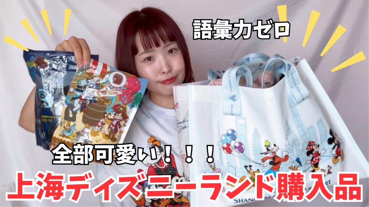 【労働者の購入品】上海ディズニーで買った商品が可愛いすぎて語彙力ゼロ