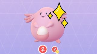 Another shiny chansy||✨ SHINY no. 113 Another shiny chansy||✨ SHINY no. 113