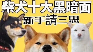 【柴犬的十大缺點】你知道幾個2023 ✅CC Analysis of The Disadvantages of Shiba Inu