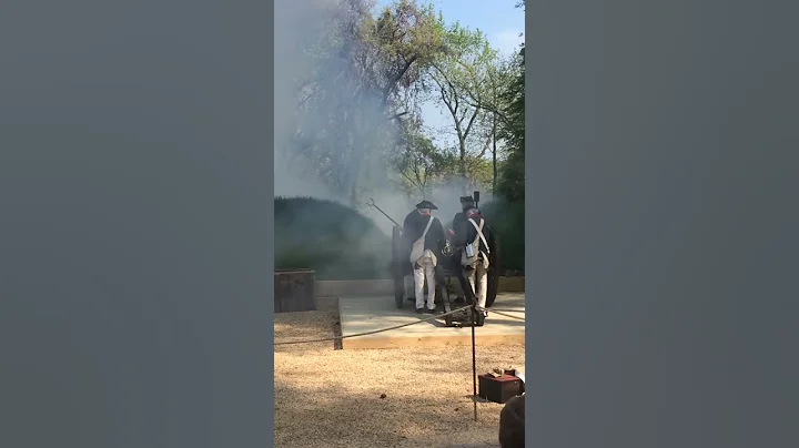 Live Cannon Firing