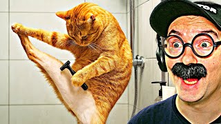 видео: 100 САМЫХ СМЕШНЫХ ВИДЕО (4 Выпуск) картинка: 100 САМЫХ СМЕШНЫХ ВИДЕО (4 Выпуск)