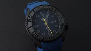 Project Timepiece 2022