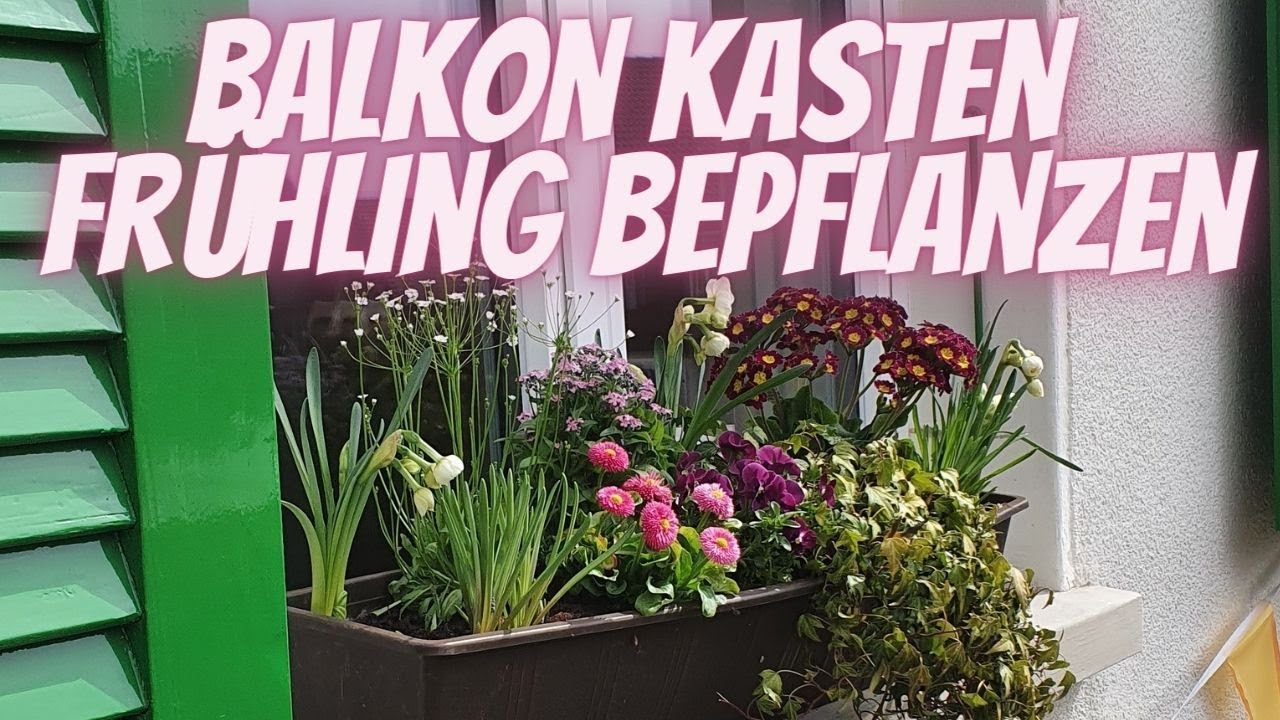 Balkonkasten Frhling bepflanzen - DIY Anleitung fr eine einfache  Frhlingsbepflanzung