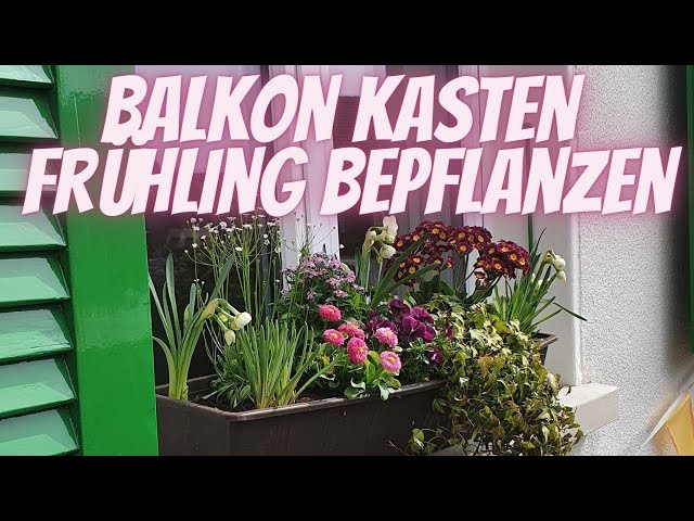 rattan blumenkasten mit wasserspeicher Set: 2 x XL PFLANZKASTEN mit Wasserspeicher Rattan (breite Version) Farbe:  Anthrazit