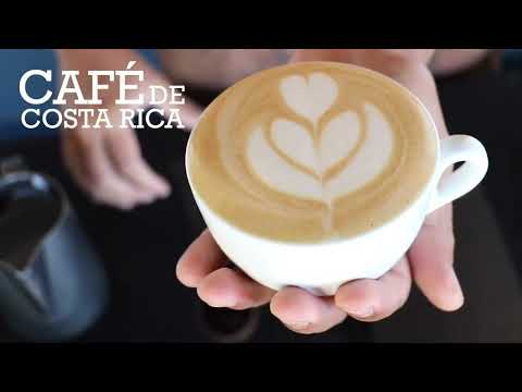 Cappuccino en prensa francesa - YouTube