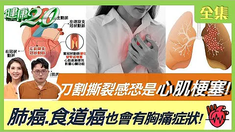 这种胸痛要人命！重压.刀割撕裂感恐是心梗.主动脉剥离！肺癌.食道癌也会出现胸痛症状！舌头颜色看脾胃健康！3穴位强化心脏！健康2.0 20220430 (完整版) - 天天要闻