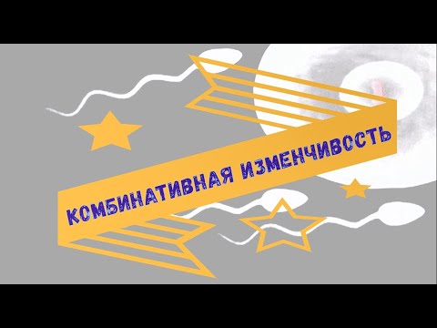 Комбинативная изменчивость