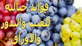 فوائد العنب بألوانه المختلفة | لماذا عليك تناول بذور العنب وأوراقه | الموسوعة العلمية