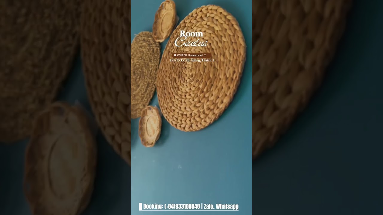 COUCOUHOMESTEAD | Cactus Room | Small Balcony, Big Calm (Ep01) 