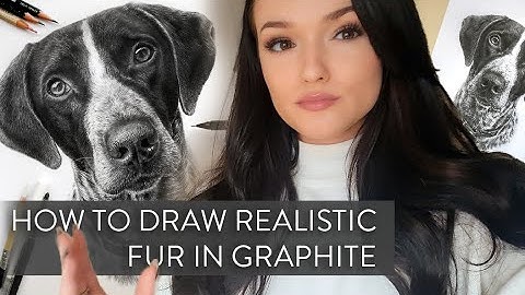 How to Draw Realistic Dog