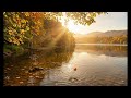 Golden Autumn Serenity | 4K Relaxing Nature &amp; Fall Landscapes