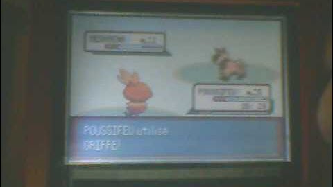 Another Uncatchable Shiny Poochyena O_o