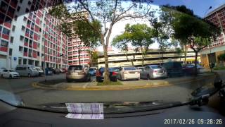 Singapore litterbug
