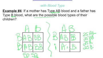 Complex Inheritance Patterns - codominance multiple allels (blood type)