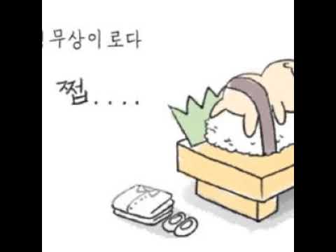 [TJ노래방라운지] 하얀면사포 - 이수영