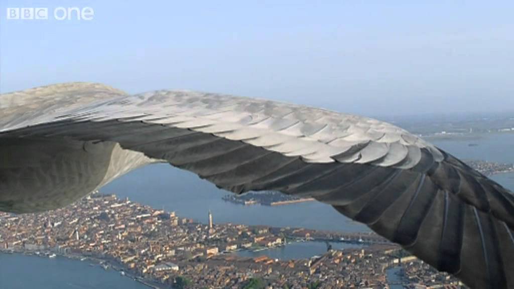 Common Cranes Fly Over Venice (Narrated by David Tennant) Earthflight BBC One YouTube
