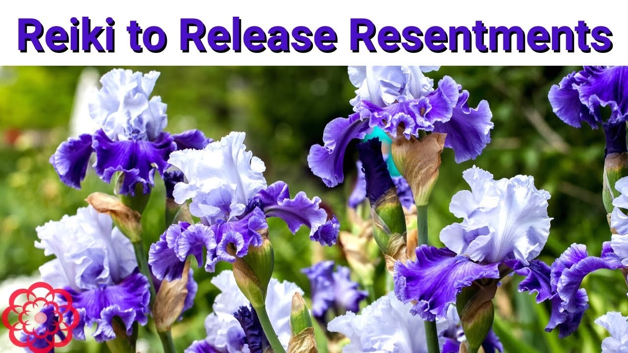 Reiki to Release Resentments 💮