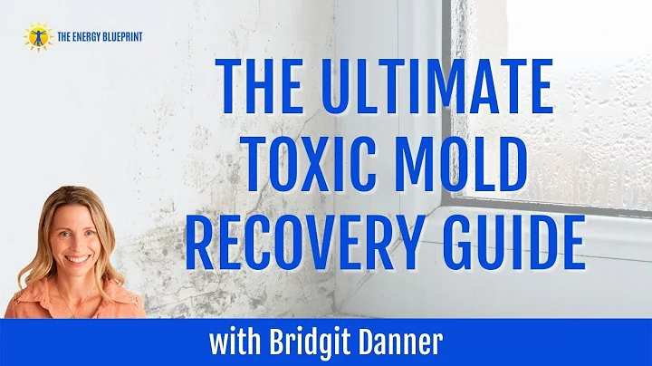 The Ultimate Toxic Mold Recovery Guide with Bridge...
