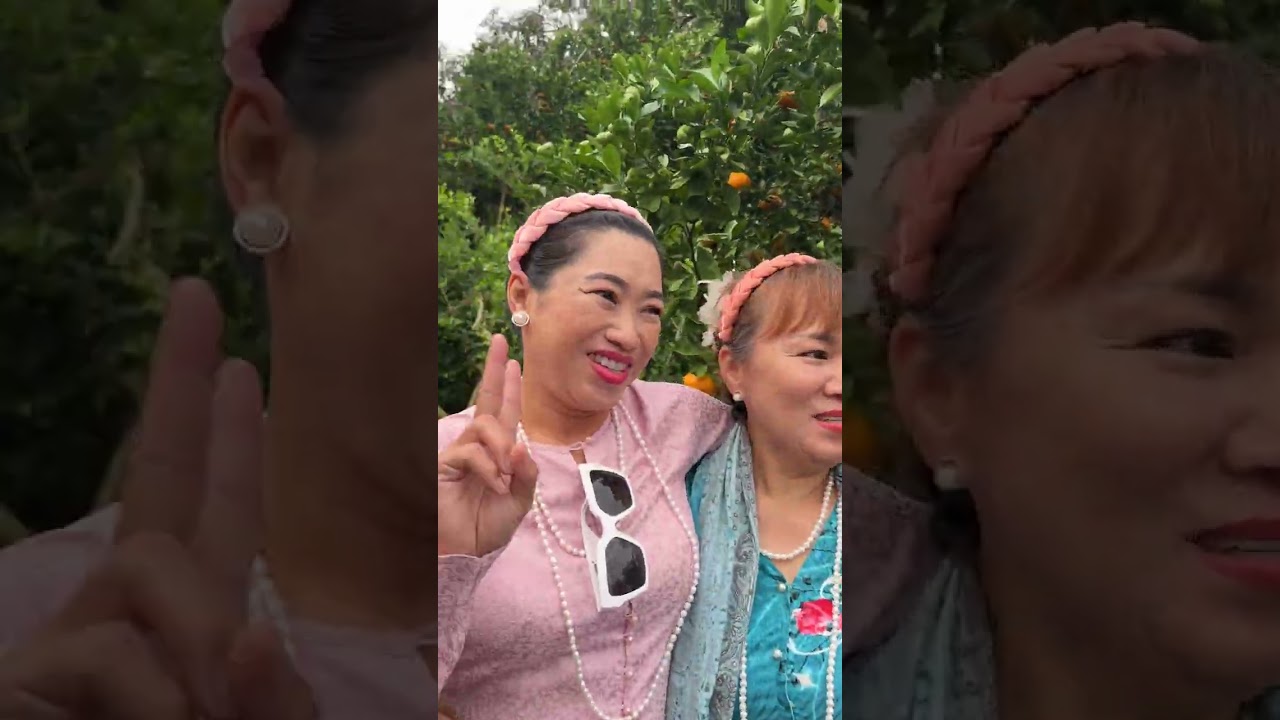 Tham quan vườn quýt Long Tuyền Cần Thơ 