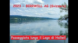 2023 - BIRRWIL AG (Svizzera) - Passeggiata lungo il Lago di Hallwil.