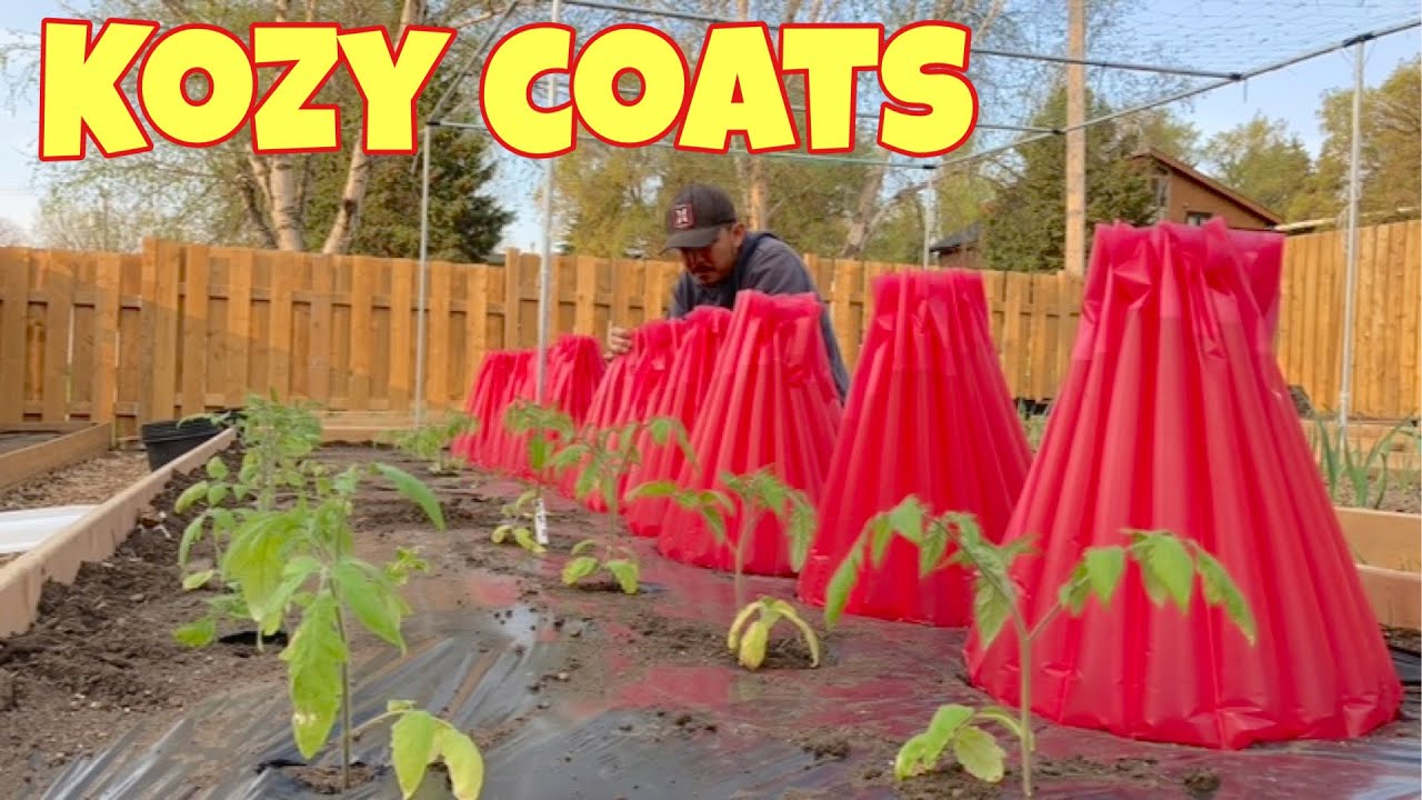 Kozy coats sinubukan namin sa aming garden kung maaga kaming