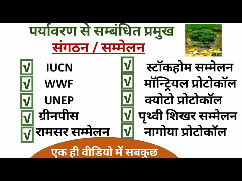 वीडियो: प्रकृति की सुरक्षा के लिए अंतरराष्ट्रीय सार्वजनिक संगठन