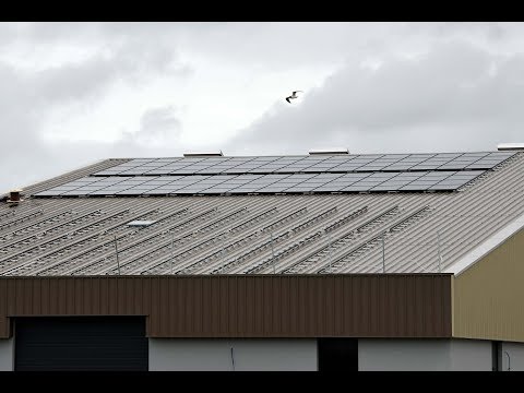 Saint-Joachim. Le solaire au coeur de la Brière