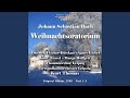 Miniature de la vidéo de la chanson Weihnachts-Oratorium, Bwv 248: Cantata #2: 10. Aria, Schlafe, Mein Liebster