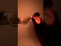 Star Lights Projector Review Viral Night Light for Cozy Room Setup#StarLightsProjector #NightLight