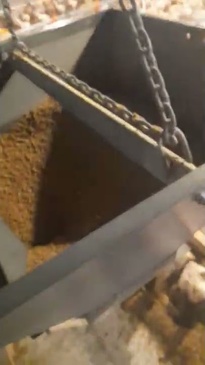 KANDANG AYAM OTOMATIC FEEDING SYSTEM #shorts #tiktok #story #storywa #chicken #viral #trending