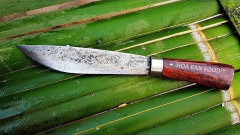 THỢ SĂN MIỀN NÚI • Ký Sự Rừng Già III - Tập 4