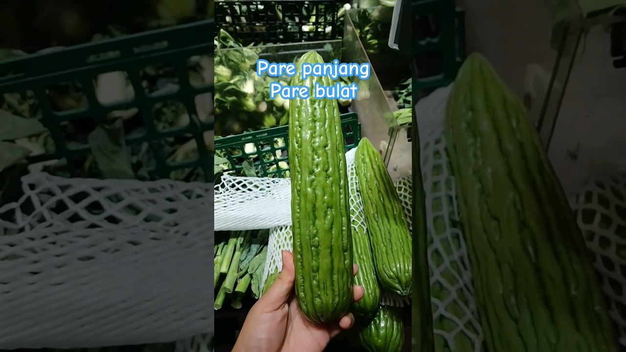 Pare panjang,,pare bulat pare pait parepanjang 