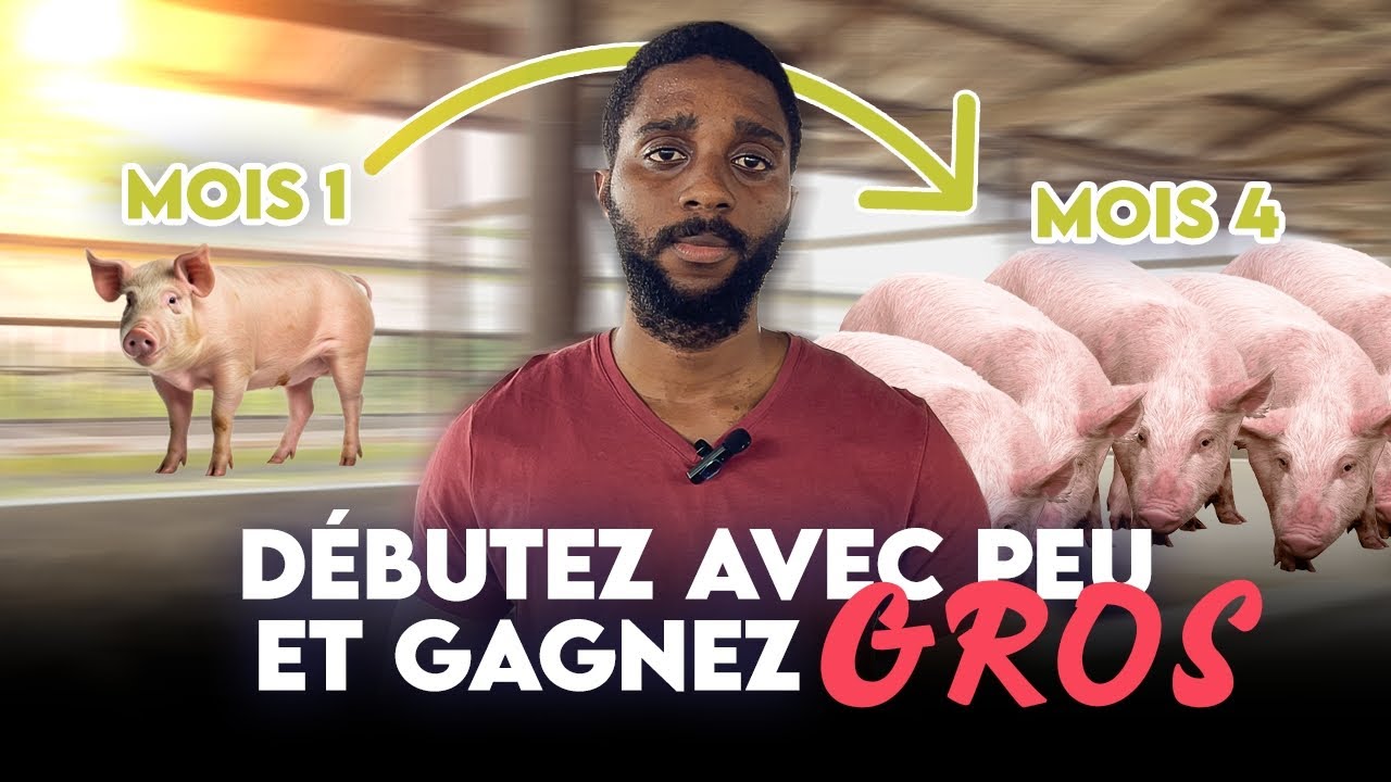 𝐋𝐚𝐧𝐜𝐞𝐳 𝐯𝐨𝐭𝐫𝐞 𝐄́𝐥𝐞𝐯𝐚𝐠𝐞 𝐝𝐞 𝐩𝐨𝐫𝐜𝐬 𝐚𝐯𝐞𝐜 𝐦𝐨𝐢𝐧𝐬 𝐝𝐞 𝟓𝟎𝟎 𝟎𝟎𝟎𝐅𝐂𝐅𝐀! 𝐈𝐍𝐂𝐑𝐎𝐘𝐀𝐁𝐋𝐄 𝐦𝐚𝐢𝐬 𝐕𝐑𝐀𝐈 !