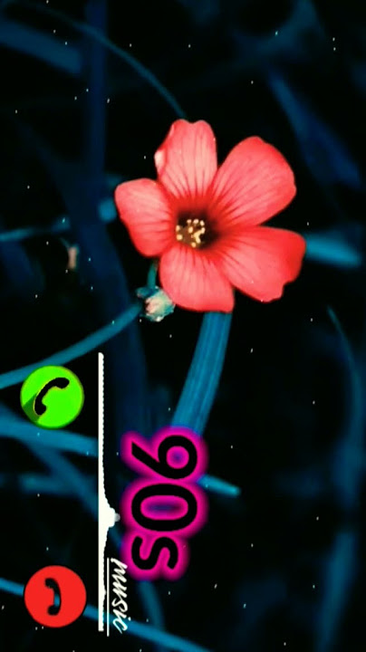 O Priya Priya | Flute cover | Rajesh Cherthala | Valentine's Day Special 2023 Ka Ringtone 💕😧