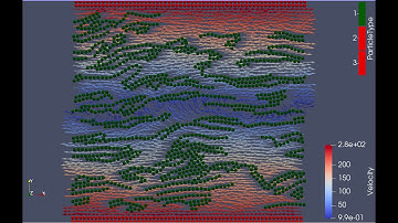 2D simulation of the flexible fiber suspension with velocity vector