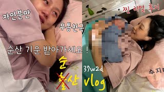 👶🏻출산 브이로그 | 생각지도 못한 37주 2일차에 출산했어요.! 초산모 이슬비침 자연분만 순산, 무통천국 | 찐 리얼 후기