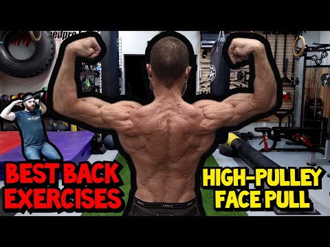 Back Strengthening Exercise: The High-Pulley Face Pull for External Rotators and Scapular Retractors