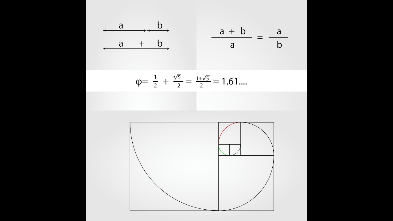 Adobe Illustrator tutorial - how to make "golden ratio" using Fibonacci