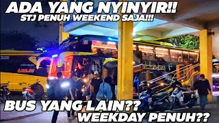 SOMEONE'S HATING, SAYING STJ IS ONLY BUSY ON WEEKENDS!!!! SO, ARE OTHER BUSES BUSY WHEN IT'S NOT ...