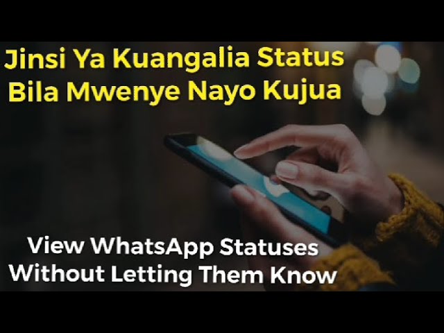 Jinsi ya kuangalia Status Bila Mwenye Nayo Kujua | View WhatsApp Statuses Without Letting Them Know class=