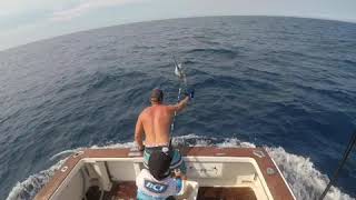James Fordham Black Marlin