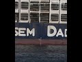 16,000 sheep and cattle still stuck on export ship after Red Sea turn-back